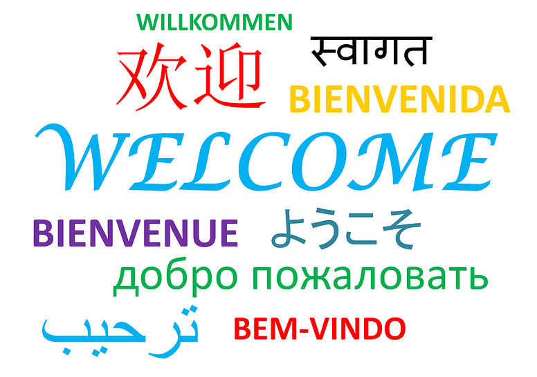 Make WordPress Website Multilingual