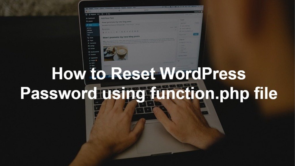 How to Reset WordPress Password using Function file