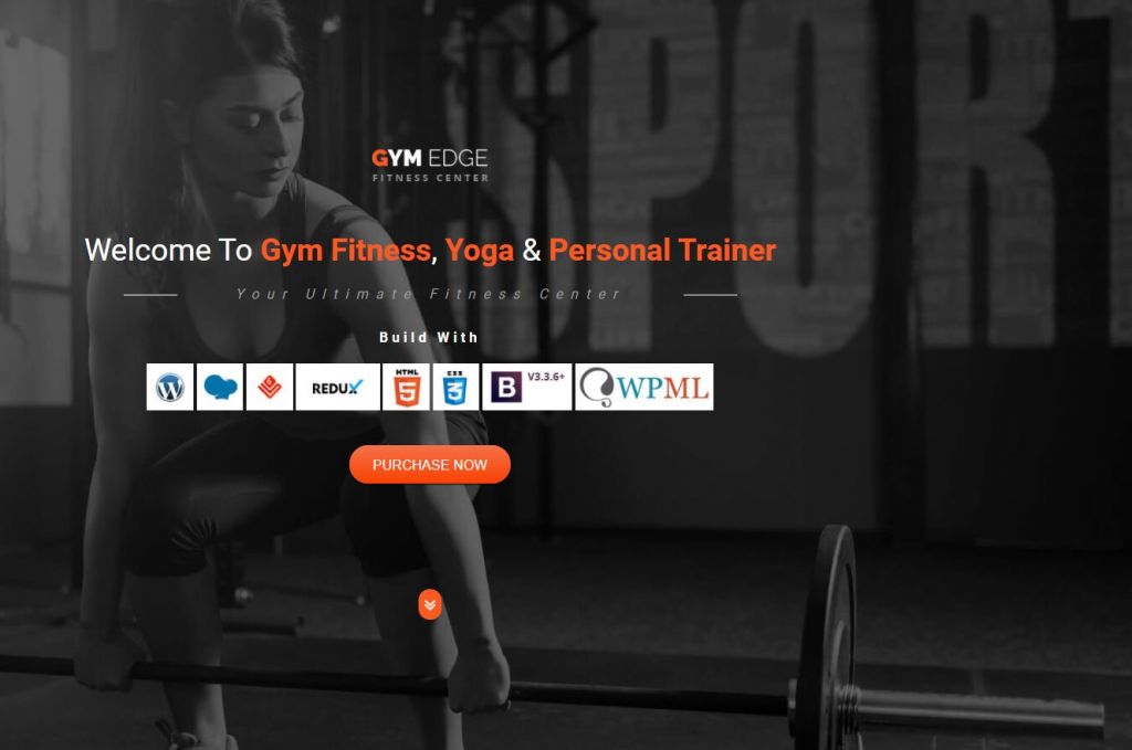 12 Best Fitness WordPress Theme for you Fitness Business